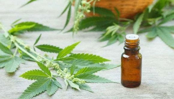 CBD Products